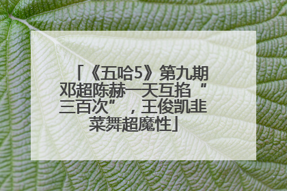 《五哈5》第九期邓超陈赫一天互掐“三百次”，王俊凯韭菜舞超魔性