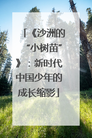 《沙洲的“小树苗”》：新时代中国少年的成长缩影