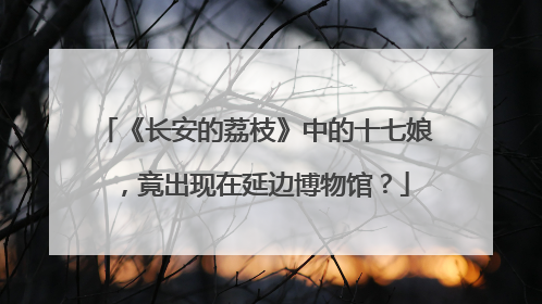 《长安的荔枝》中的十七娘，竟出现在延边博物馆？