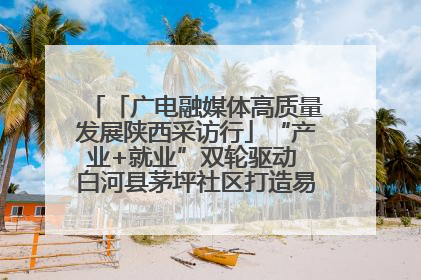 「广电融媒体高质量发展陕西采访行」“产业+就业”双轮驱动 白河县茅坪社区打造易地搬迁后扶新样本