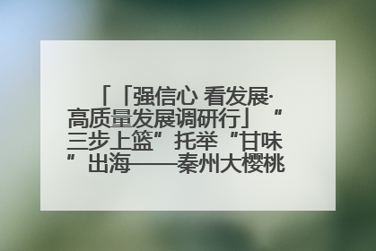 「强信心 看发展·高质量发展调研行」“三步上篮”托举“甘味”出海——秦州大樱桃高质量发展动作分解