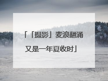 「摄影」麦浪翻涌 又是一年夏收时
