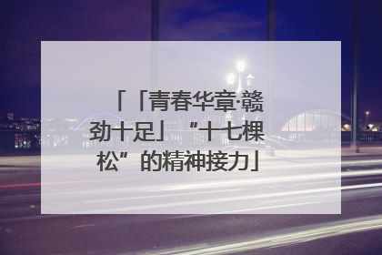 「青春华章·赣劲十足」“十七棵松”的精神接力