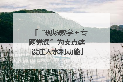 “现场教学＋专题党课”为支点建设注入水利动能