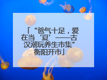 “爸气十足，爱在当‘夏’——古汉潮玩养生市集”衡阳开市