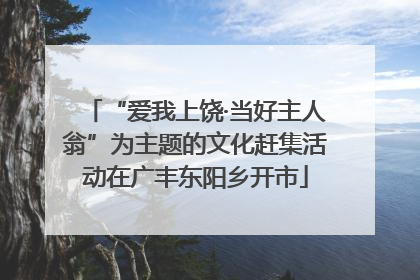 “爱我上饶·当好主人翁”为主题的文化赶集活动在广丰东阳乡开市