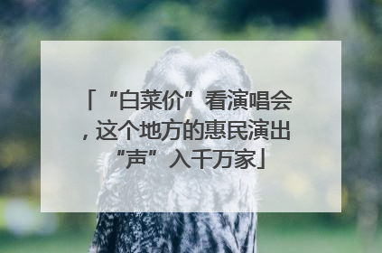 “白菜价”看演唱会，这个地方的惠民演出“声”入千万家