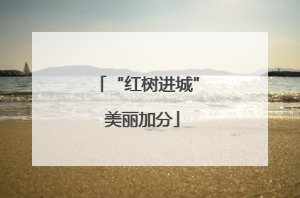 “红树进城” 美丽加分