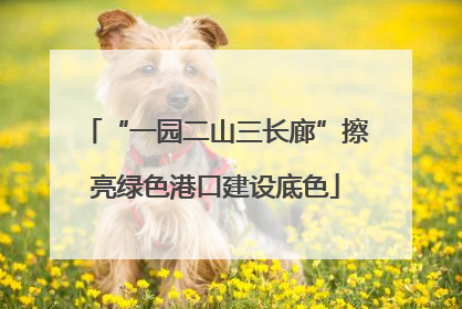 “一园二山三长廊”擦亮绿色港口建设底色
