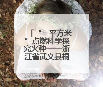 “一平方米”点燃科学探究火种——浙江省武义县桐琴镇中心小学科学教育的新探索