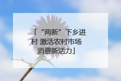 “两新”下乡进村 激活农村市场消费新活力