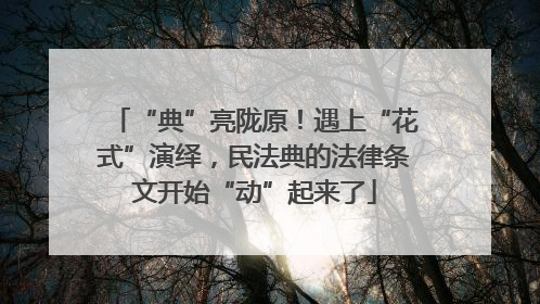 “典”亮陇原！遇上“花式”演绎，民法典的法律条文开始“动”起来了