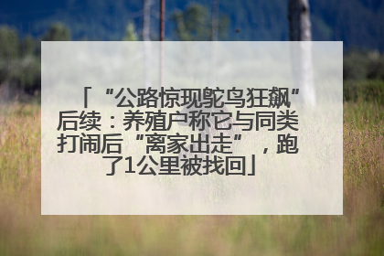 “公路惊现鸵鸟狂飙”后续：养殖户称它与同类打闹后“离家出走”，跑了1公里被找回