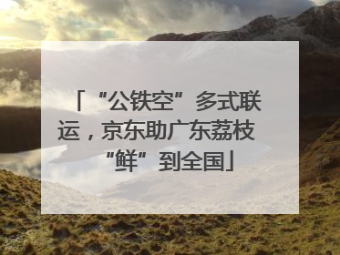 “公铁空”多式联运，京东助广东荔枝“鲜”到全国