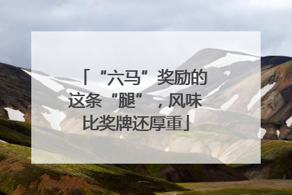 “六马”奖励的这条“腿”，风味比奖牌还厚重
