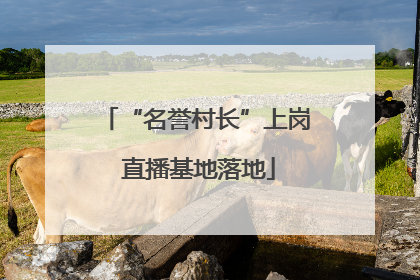 “名誉村长”上岗 直播基地落地