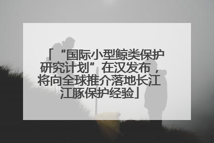 “国际小型鲸类保护研究计划”在汉发布，将向全球推介落地长江江豚保护经验