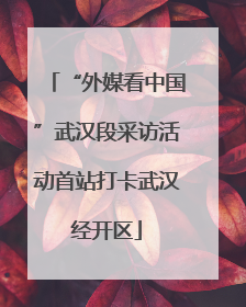 “外媒看中国”武汉段采访活动首站打卡武汉经开区