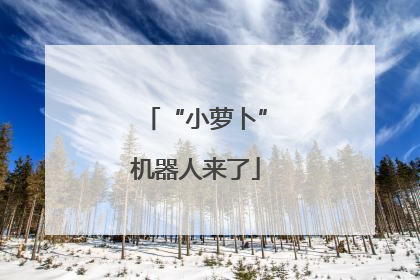 “小萝卜”机器人来了