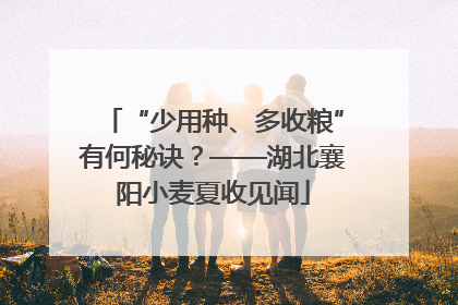 “少用种、多收粮”有何秘诀?——湖北襄阳小麦夏收见闻