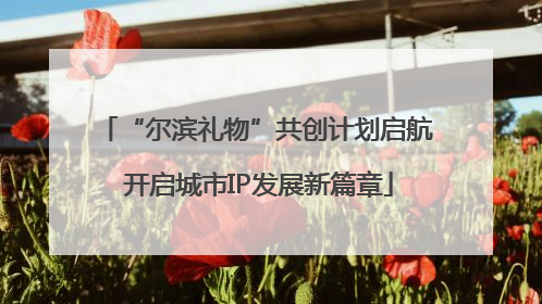 “尔滨礼物”共创计划启航 开启城市IP发展新篇章