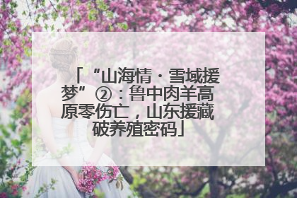 “山海情・雪域援梦”②：鲁中肉羊高原零伤亡，山东援藏破养殖密码