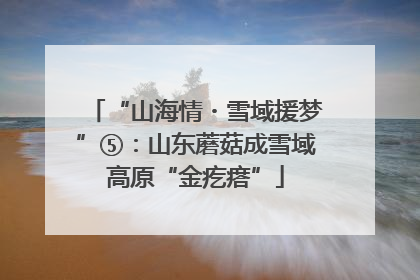 “山海情・雪域援梦”⑤：山东蘑菇成雪域高原“金疙瘩”
