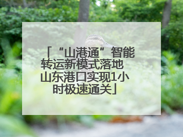 “山港通”智能转运新模式落地 山东港口实现1小时极速通关