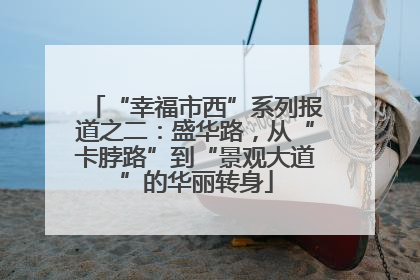 “幸福市西”系列报道之二：盛华路，从“卡脖路”到“景观大道”的华丽转身