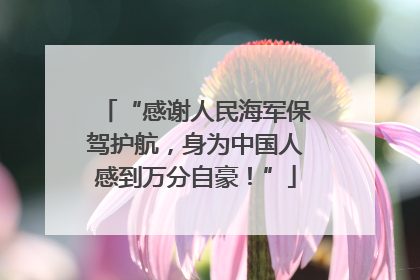 “感谢人民海军保驾护航，身为中国人感到万分自豪！”