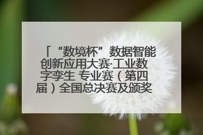 “数境杯”数据智能创新应用大赛·工业数字孪生 专业赛（第四届）全国总决赛及颁奖典礼成功举办