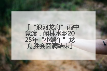 “浪河龙舟”雨中竞渡，闲林水乡2025年“小端午”龙舟胜会圆满结束