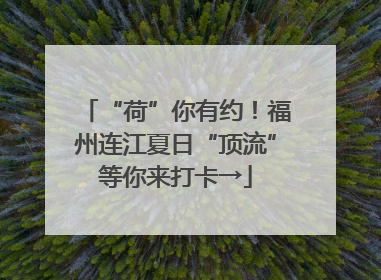 “荷”你有约！福州连江夏日“顶流”等你来打卡→