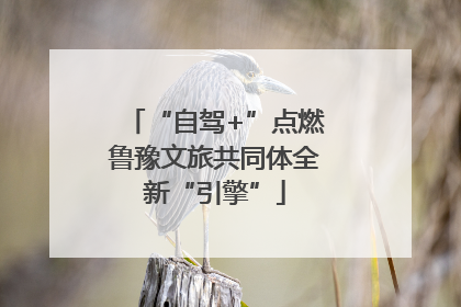 “自驾+”点燃鲁豫文旅共同体全新“引擎”