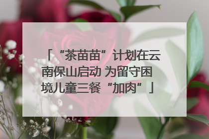 “茶苗苗”计划在云南保山启动 为留守困境儿童三餐“加肉”