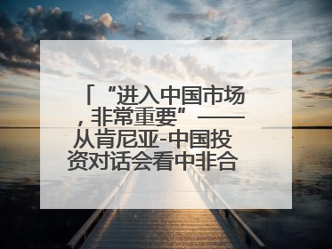 “进入中国市场，非常重要”——从肯尼亚-中国投资对话会看中非合作机遇
