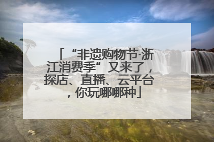 “非遗购物节·浙江消费季”又来了，探店、直播、云平台，你玩哪哪种