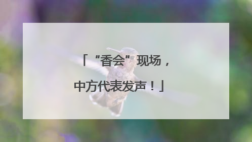 “香会”现场，中方代表发声！