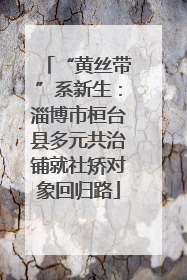 “黄丝带”系新生：淄博市桓台县多元共治铺就社矫对象回归路