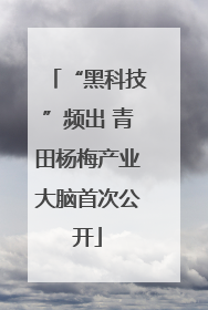 “黑科技”频出 青田杨梅产业大脑首次公开