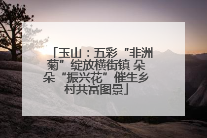 玉山：五彩“非洲菊”绽放横街镇 朵朵“振兴花”催生乡村共富图景