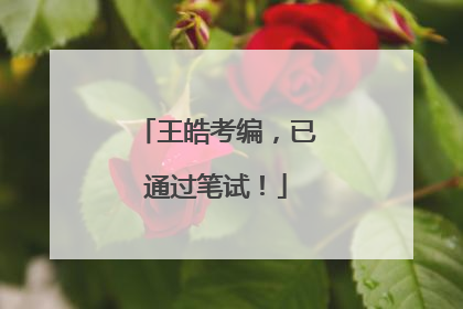王皓考编，已通过笔试！
