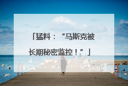 猛料：“马斯克被长期秘密监控！”
