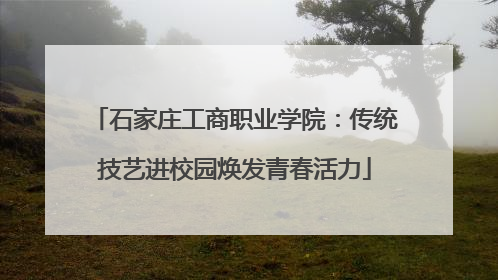 石家庄工商职业学院：传统技艺进校园焕发青春活力