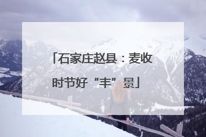 石家庄赵县：麦收时节好“丰”景