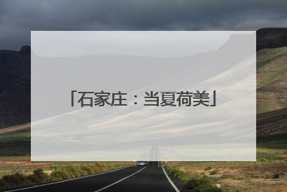 石家庄：当夏荷美