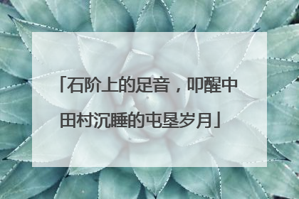 石阶上的足音，叩醒中田村沉睡的屯垦岁月