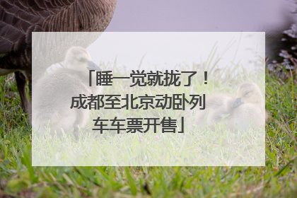 睡一觉就拢了！成都至北京动卧列车车票开售