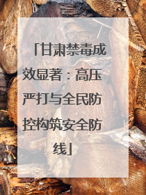 甘肃禁毒成效显著：高压严打与全民防控构筑安全防线