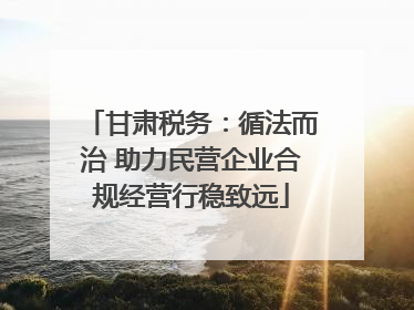 甘肃税务：循法而治 助力民营企业合规经营行稳致远